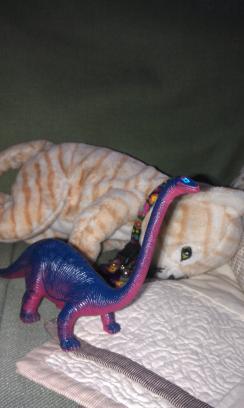 dinosaur-and-cat-doll